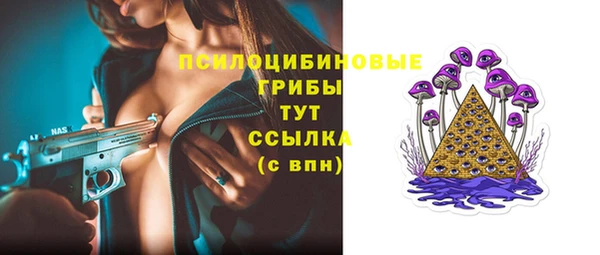 крисы Балахна