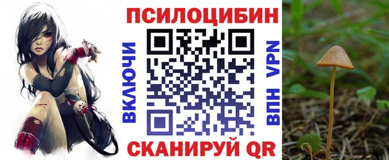Галлюциногенные грибы Psilocybe сколько стоит Котлас
