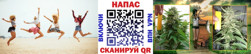 Каннабис сатива  ссылка на мегу как зайти  Котлас 